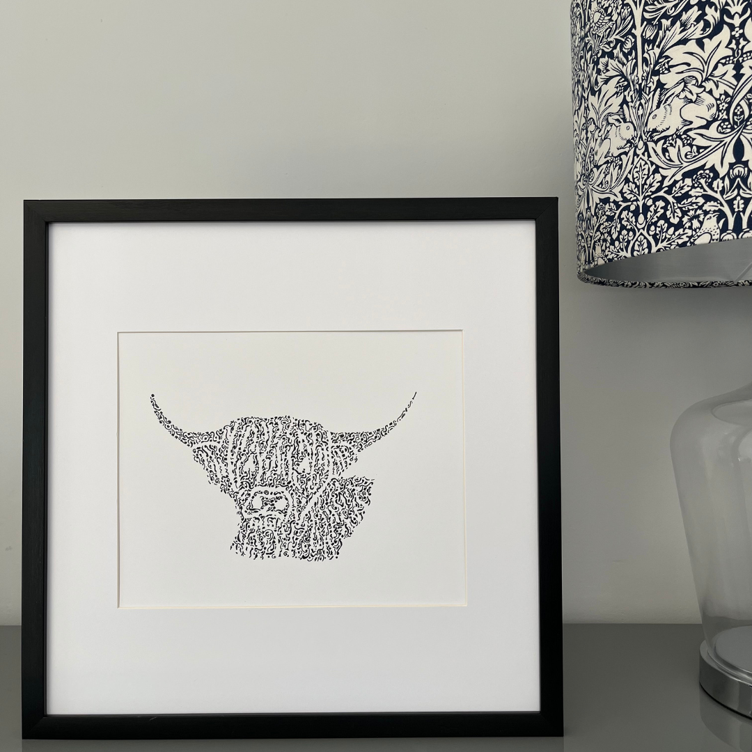 Handsome Highland Cow