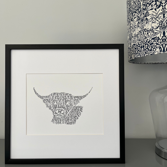 Handsome Highland Cow