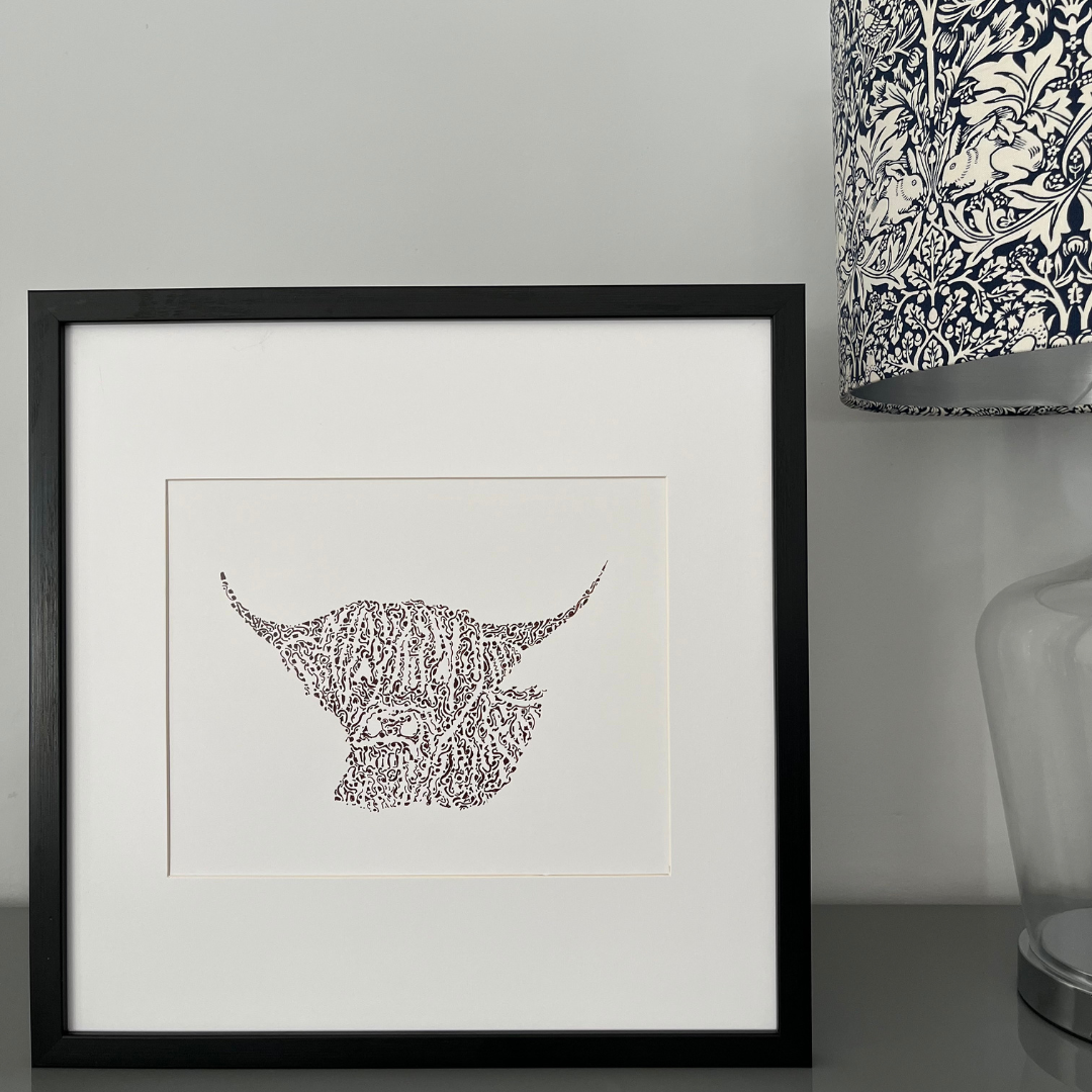 Handsome Highland Cow