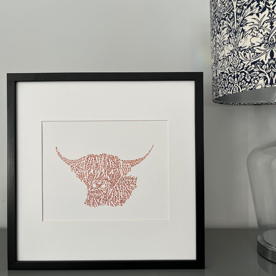Handsome Highland Cow