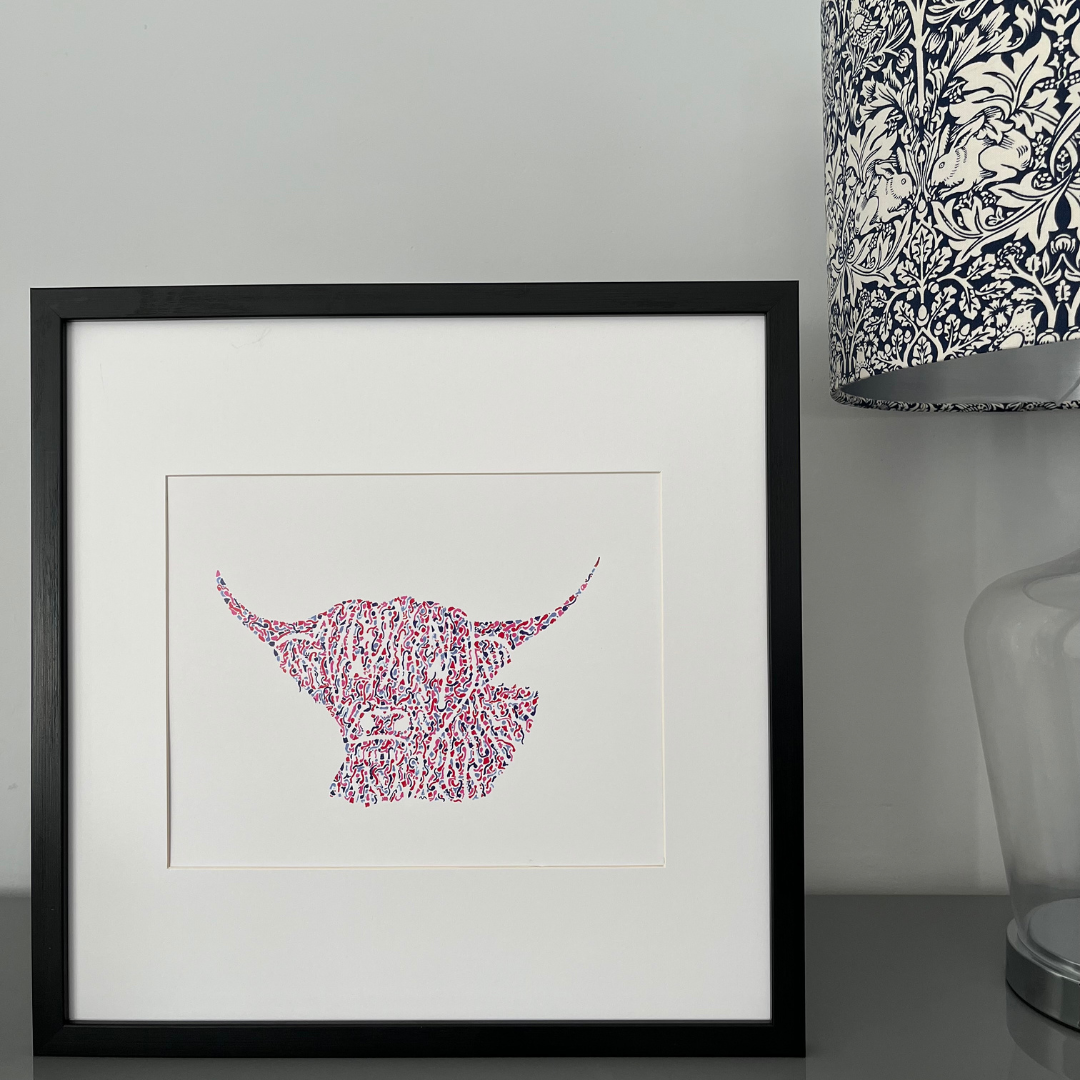 Handsome Highland Cow