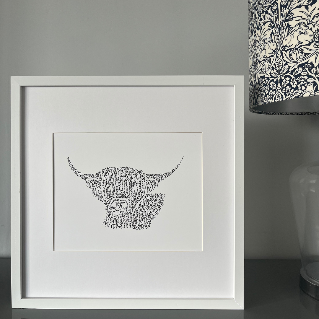 Handsome Highland Cow