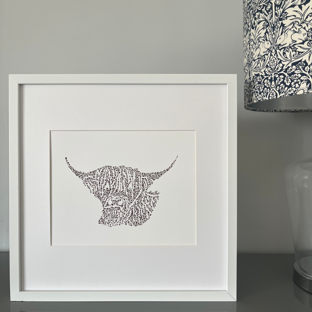 Handsome Highland Cow