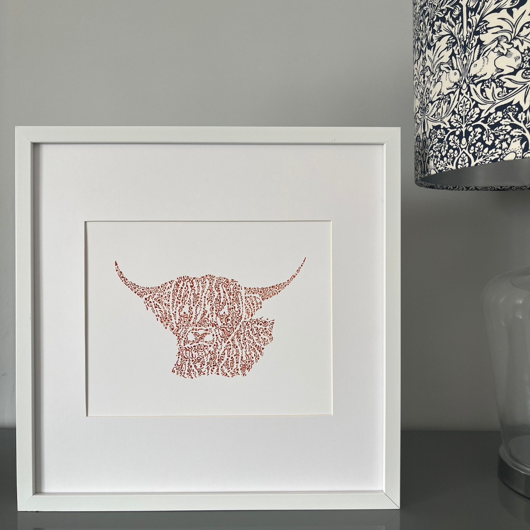 Handsome Highland Cow