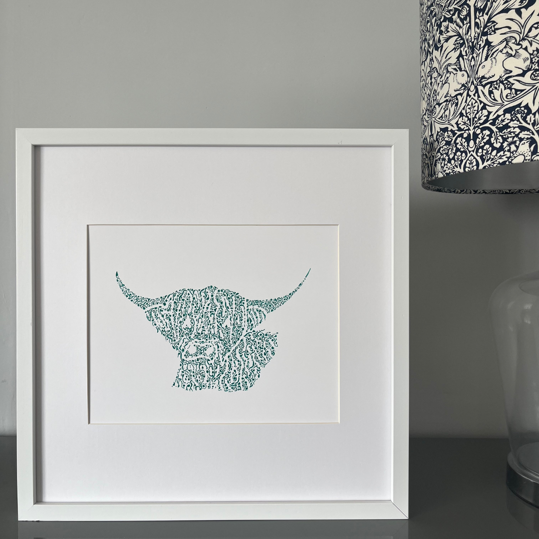 Handsome Highland Cow