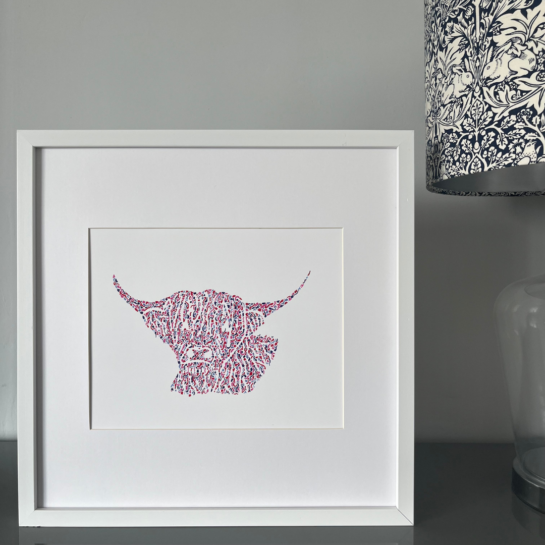 Handsome Highland Cow