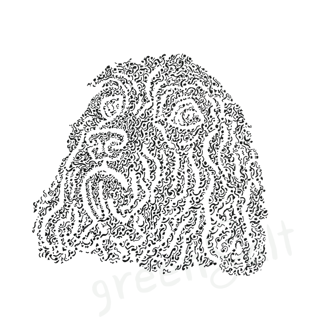 Cheeky Cockapoo