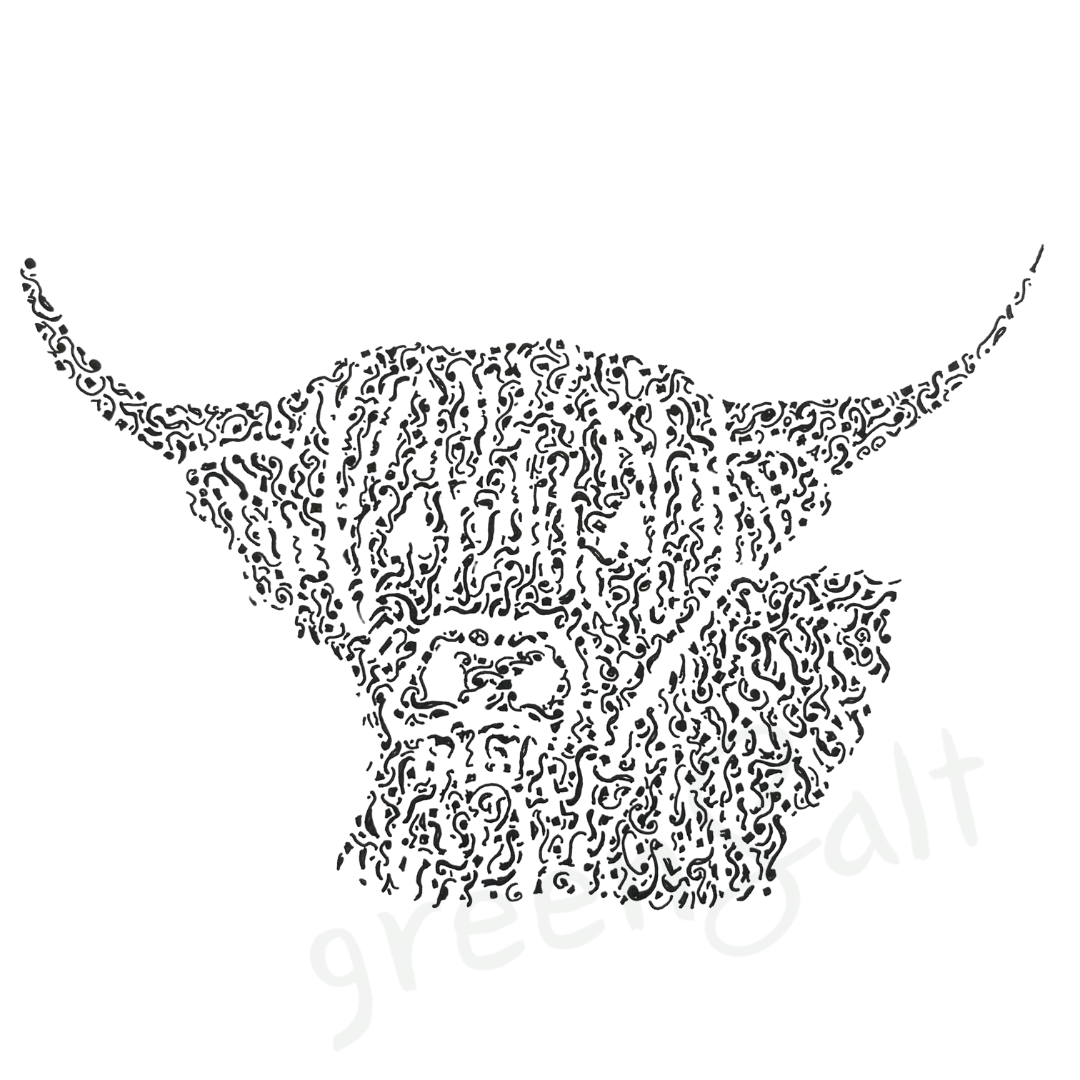 Handsome Highland Cow