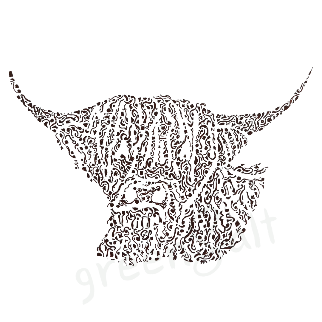 Handsome Highland Cow