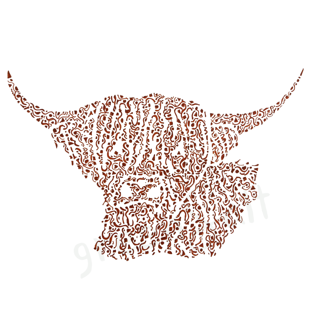 Handsome Highland Cow