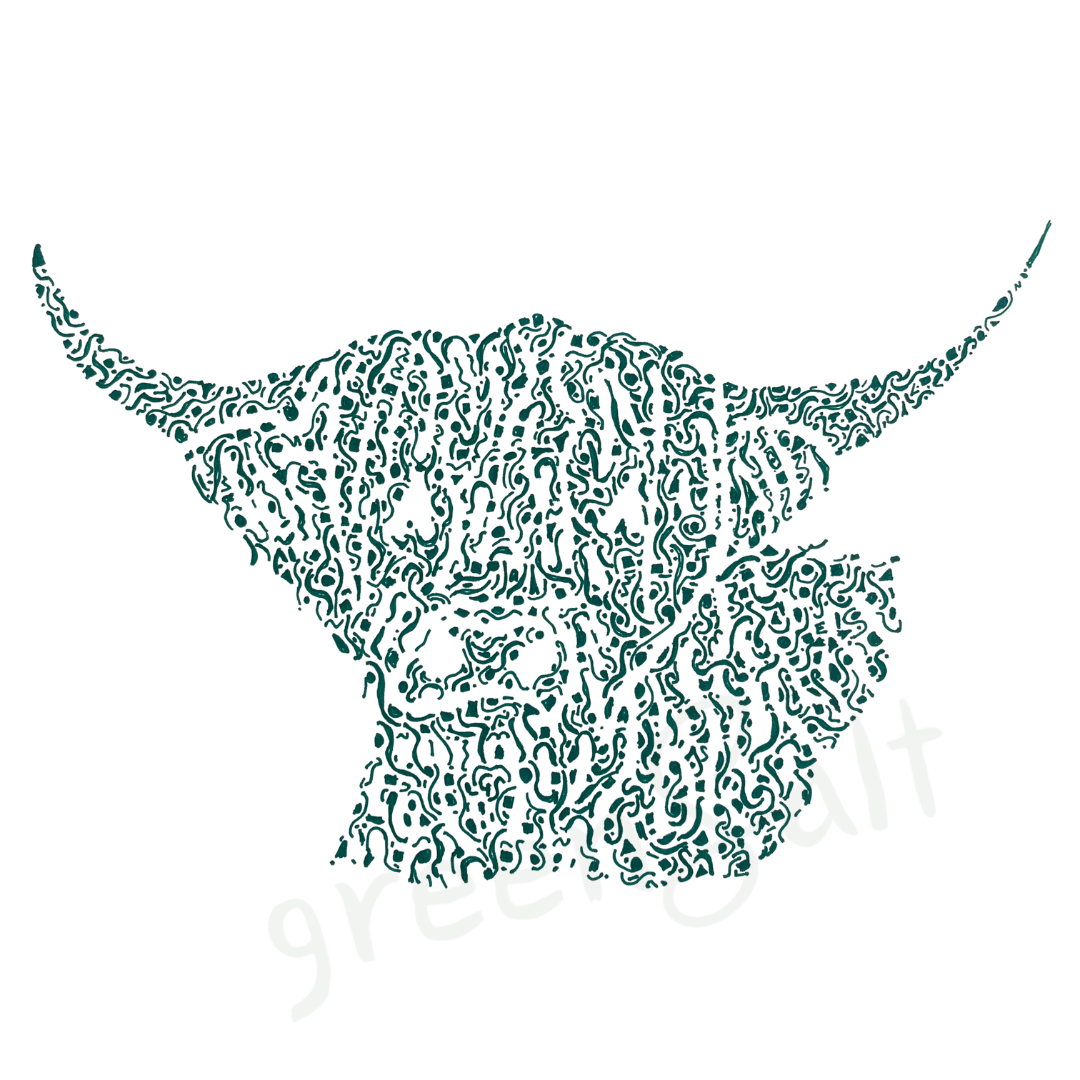 Handsome Highland Cow