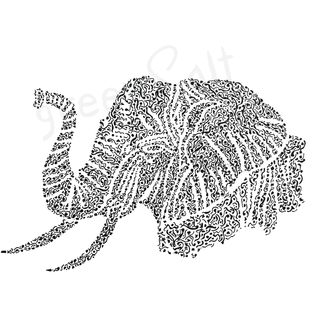 Elegant Elephant