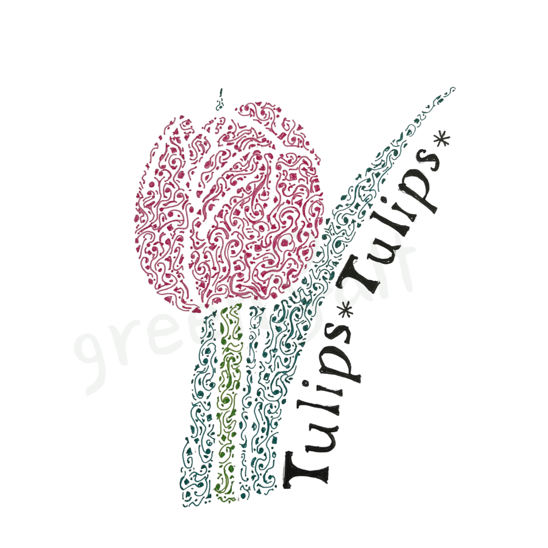 Tranquil Tulip